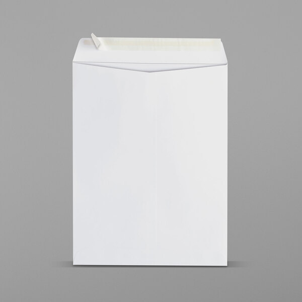 A white rectangular box with a corner containing Universal Peel Seal Catalog Envelopes.