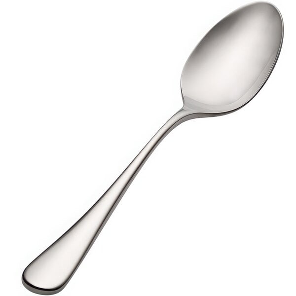 A Bon Chef Como stainless steel spoon with a silver handle and silver spoon.