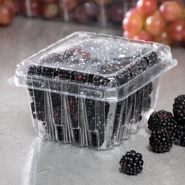 1 Pint Vented Clamshell Produce / Berry Container 480/Case