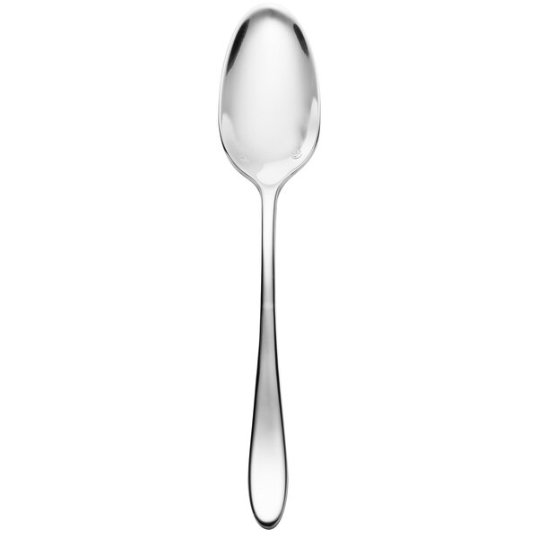 A silver Chef & Sommelier Lazzo teaspoon.