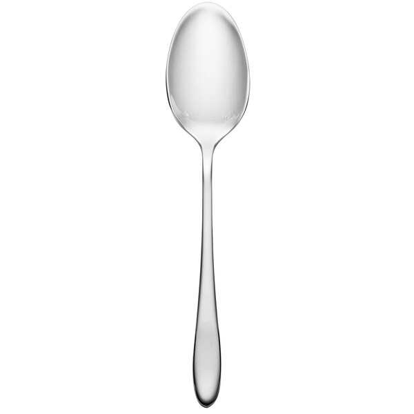 A Chef & Sommelier stainless steel demitasse spoon with a silver handle.