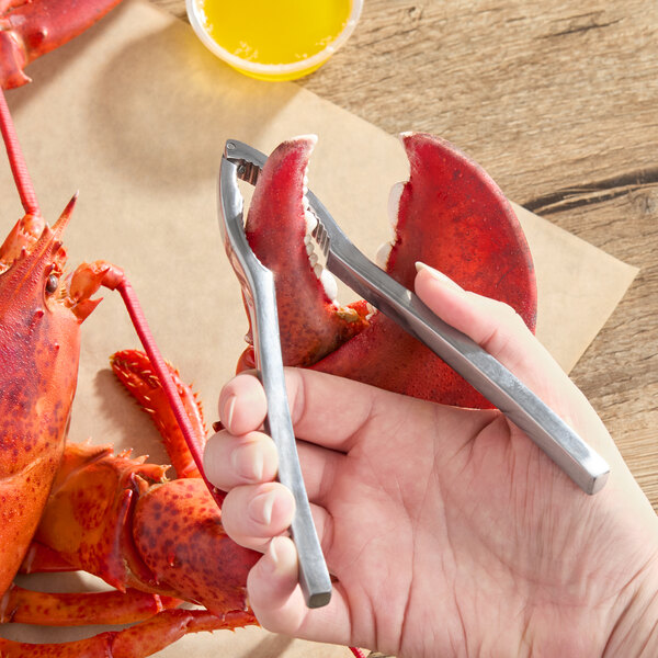 A stainless steel double-jaw lobster cracker being used to crack a lobster claw.