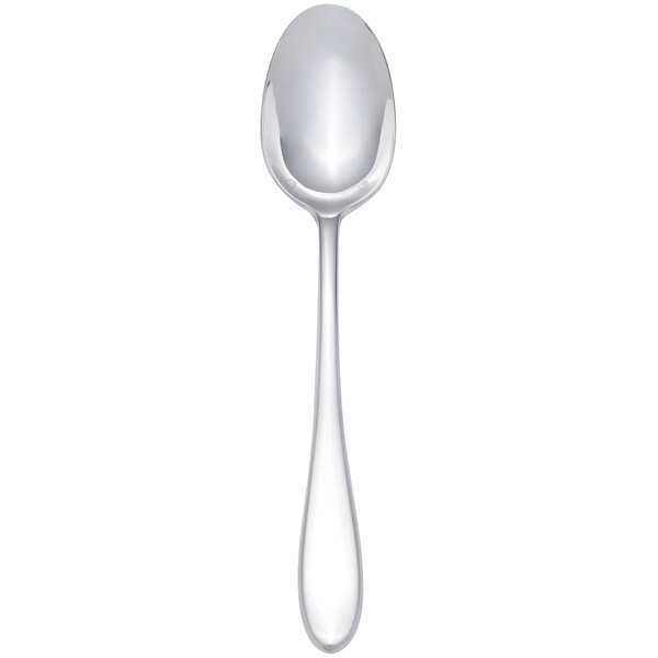 A silver spoon with a white background.