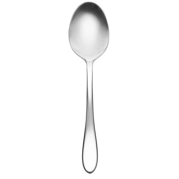 A silver Chef & Sommelier teaspoon with a white handle.