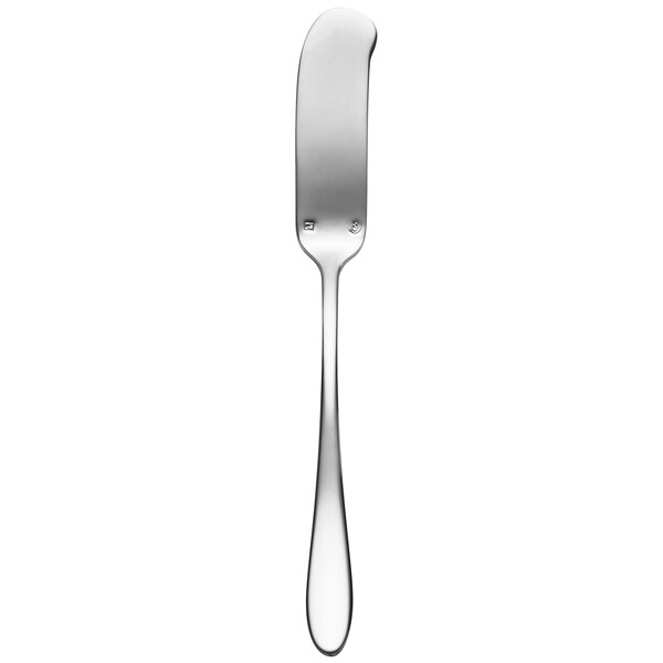 A silver butter spreader with a rectangular handle.