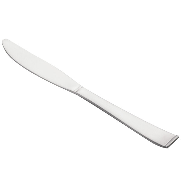 A close-up of a Libbey stainless steel butter spreader with a long handle.