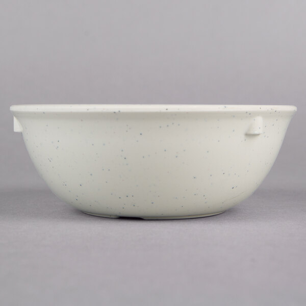 A close-up of a white bowl with blue specks.