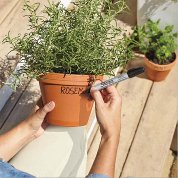 A person using a Sharpie Pro Black marker to write on a potted plant.