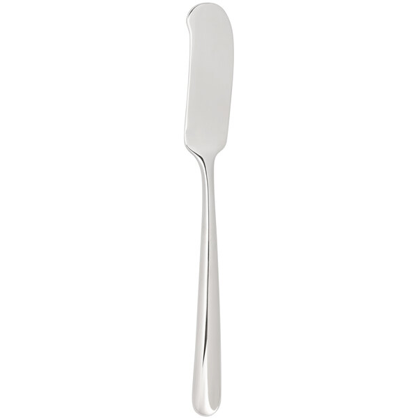 A silver butter spreader with a long handle.