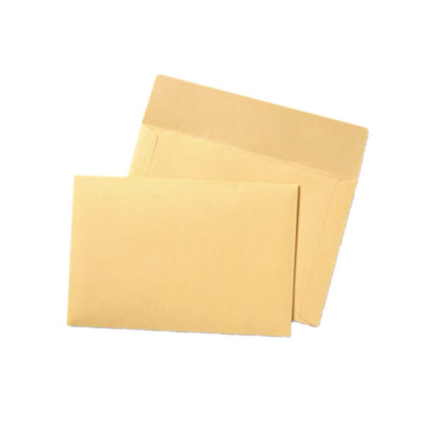 Two Quality Park Cameo Buff tag envelopes.