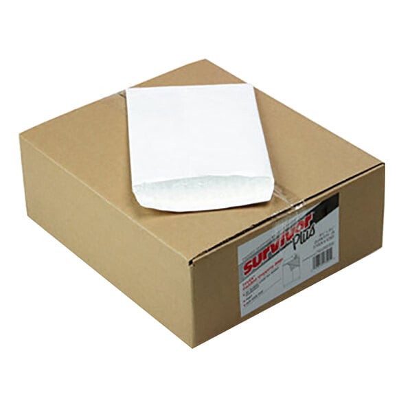 A brown box with white Tyvek air bubble mailers inside.