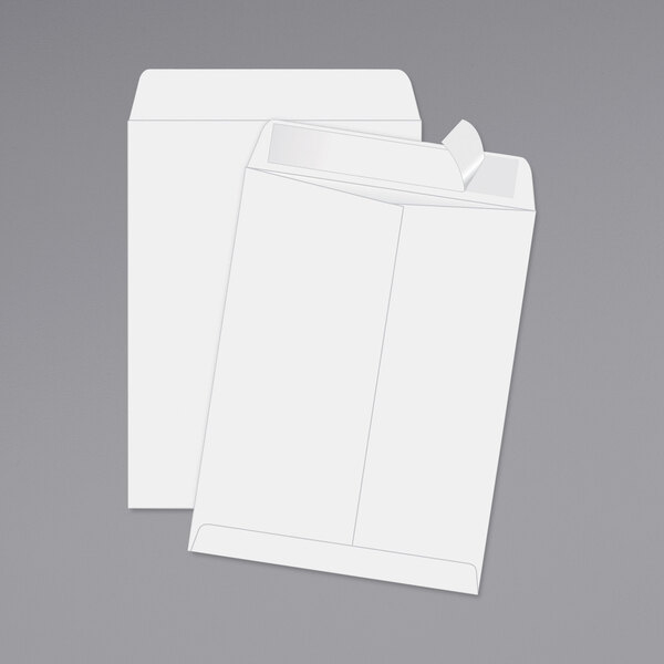 Two white Quality Park file envelopes with redi-strip seals.