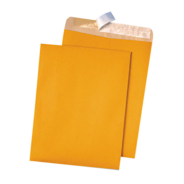 A pair of brown Quality Park envelopes on a white background.