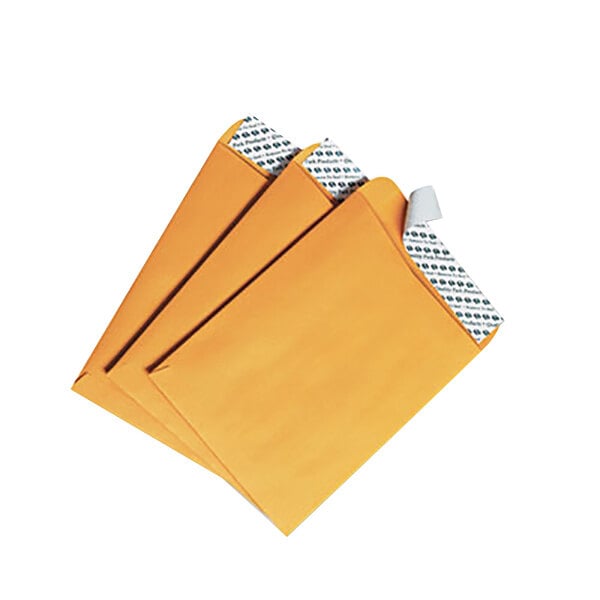 A group of brown Quality Park #55 Kraft envelopes with red tape on top.