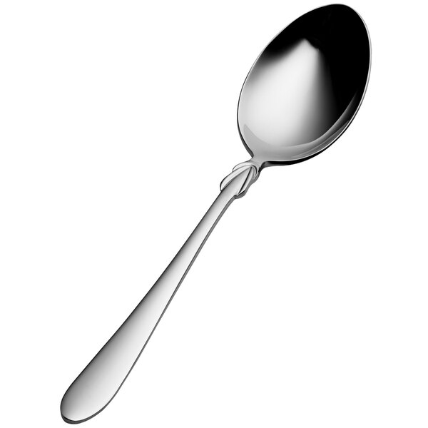 A Bon Chef stainless steel spoon with a silver handle and spoon.