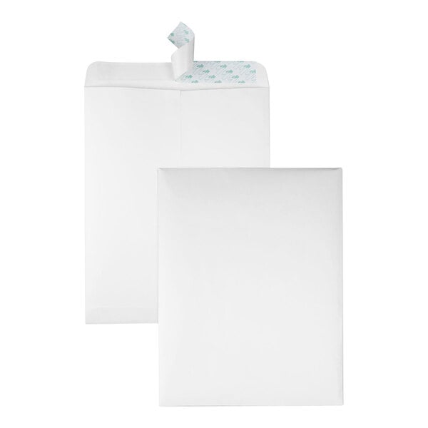 A white 10" x 13" file envelope with a Redi-Strip seal.