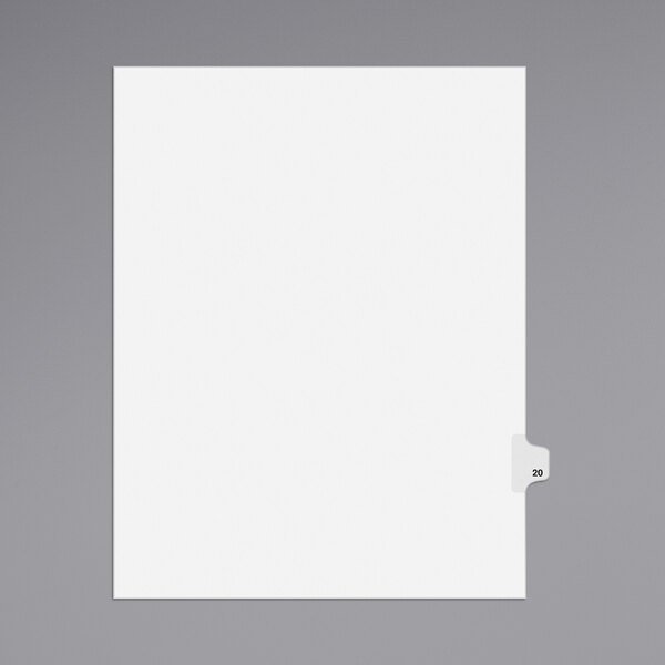 A white rectangular file tab with black text that reads "20"