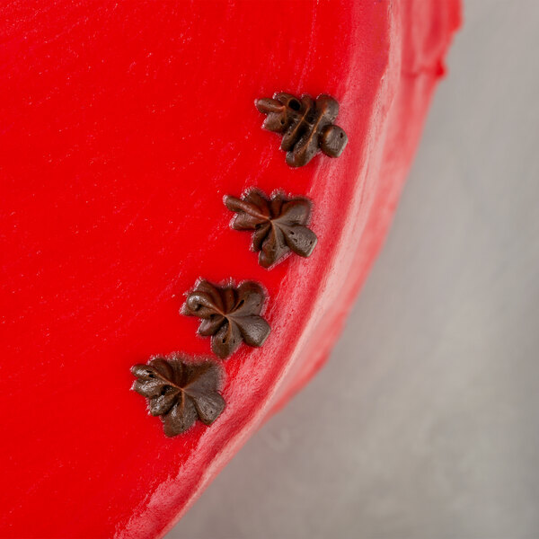 A red cake with chocolate Christmas trees piped on it using an Ateco Christmas Tree piping tip.