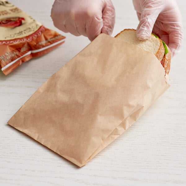 Cookie Bag  Plastic Resealable Sandwich / Cookie Bag 5 x 5 - 1000/Case