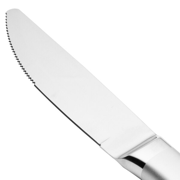 A close-up of a Walco stainless steel steak knife with a jumbo frost finished hollow handle.
