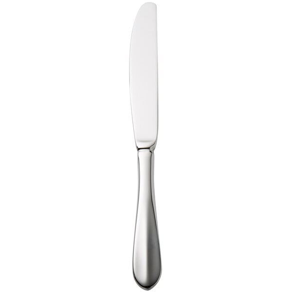 A Walco stainless steel dinner knife with a silver handle.