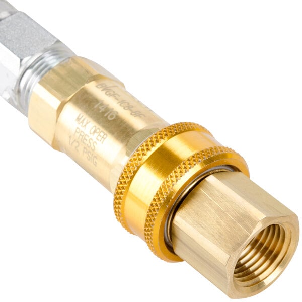 A close-up of a brass T&S gas appliance connector.