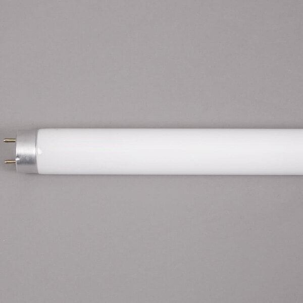 An Avantco T8 fluorescent light bulb with silver tips on a white surface.