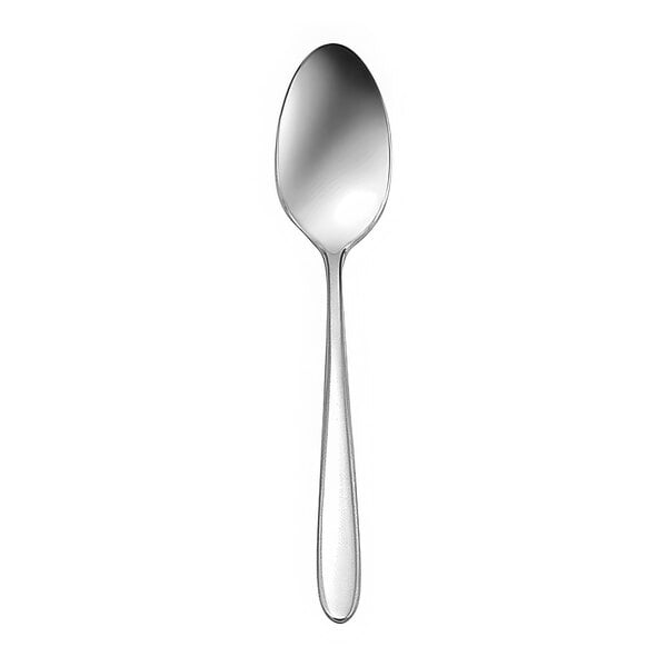 A close-up of a Sant'Andrea Mascagni II stainless steel European teaspoon with a silver handle.