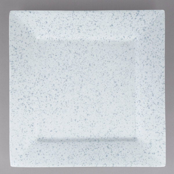 A white square plate with blue speckled spots.