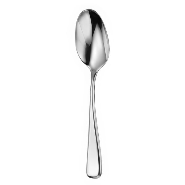 A close-up of a Oneida Perimeter silver teaspoon with a silver handle.