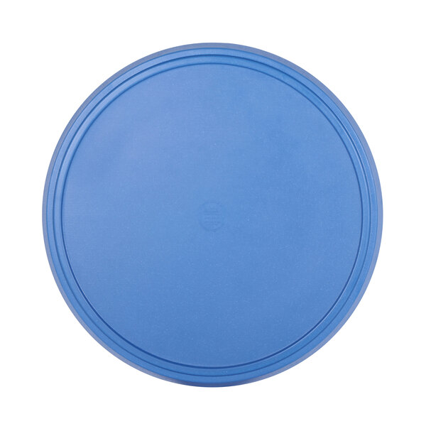 A blue plastic disc with a circle in it.