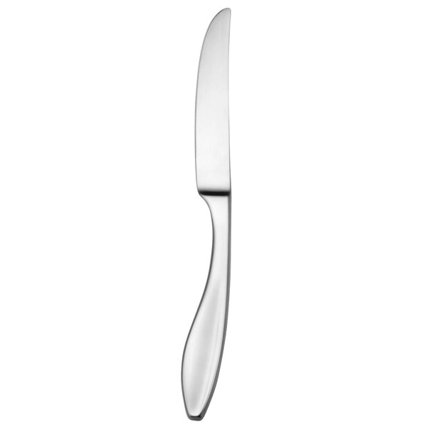 A silver Oneida Sestina dinner knife with a white background.