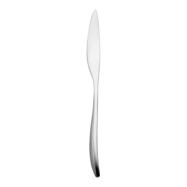 A close-up of an Oneida Sestina stainless steel dinner knife.
