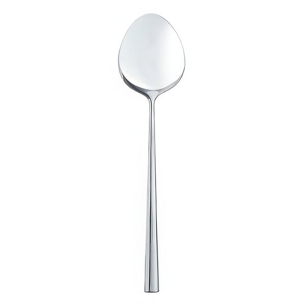 A Chef & Sommelier stainless steel coffee spoon with a long handle.