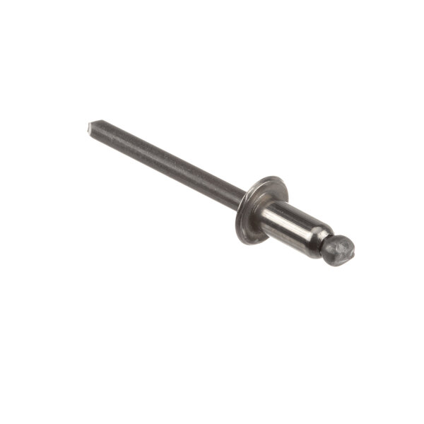 A metal rivet with a metal head.