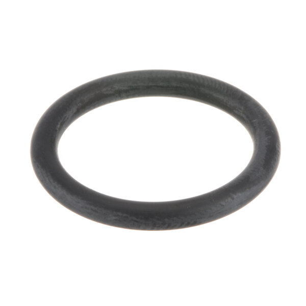 A black rubber O-ring with a round cross-section on a white background.