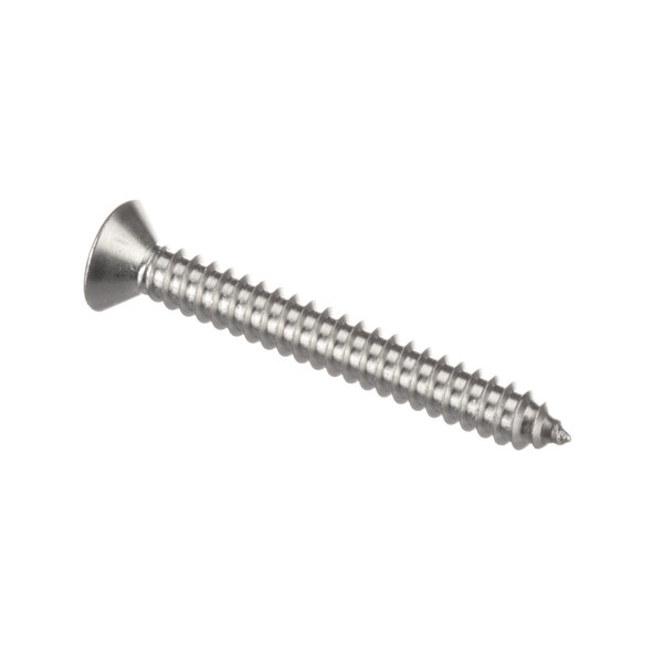 A close-up of a Polar King tamper proof screw with a flat head.