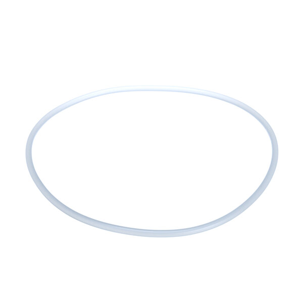 A white oval gasket.