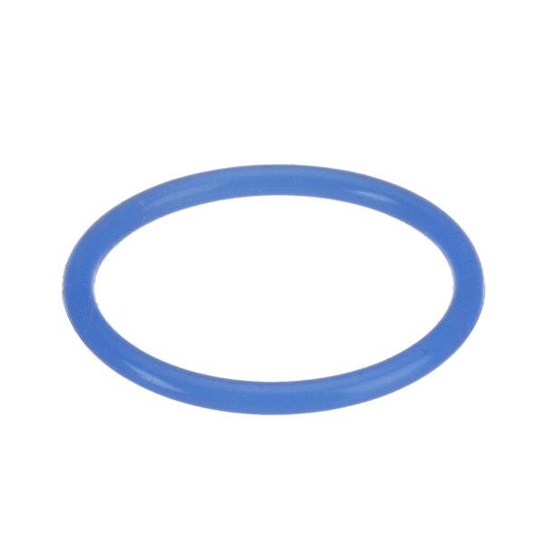 A blue round rubber o-ring.