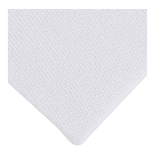 A white twin size bed bug proof box spring cover.