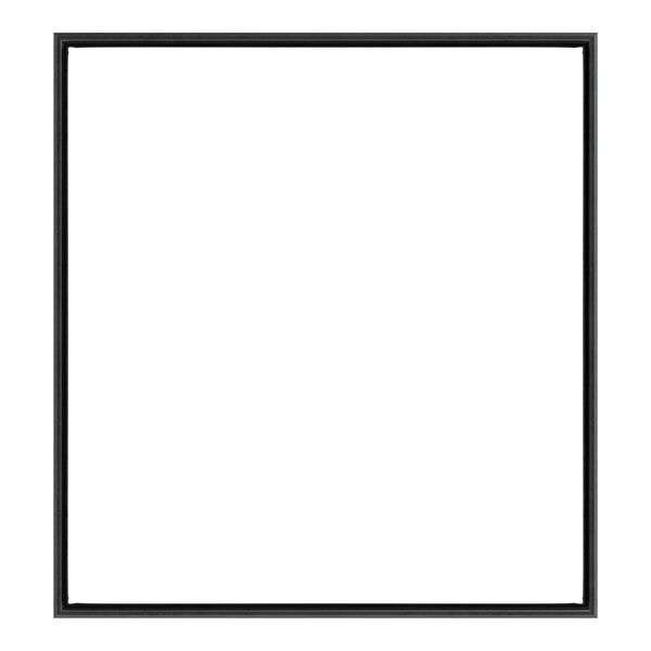A black rectangular frame with a white background.