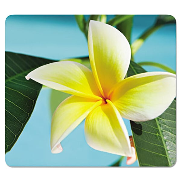 A close-up of yellow flowers on a Fellowes mouse pad.