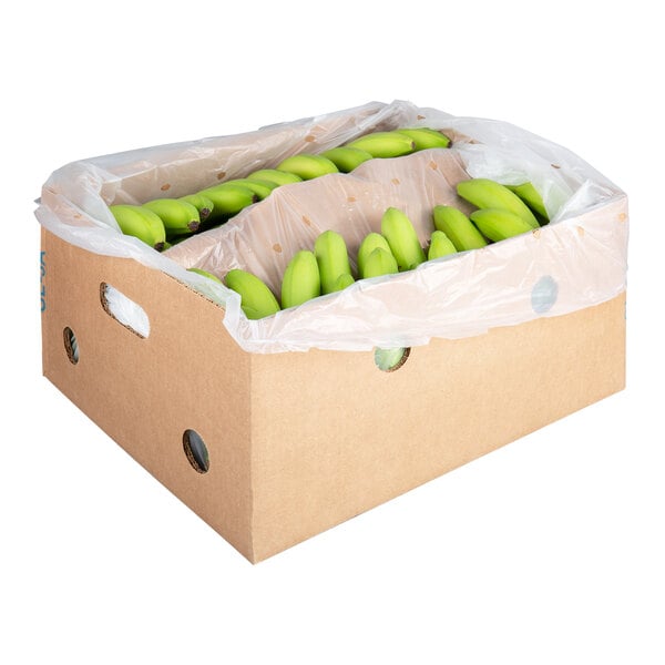 A cardboard box containing green stage 2 bananas lined with a plastic bag.