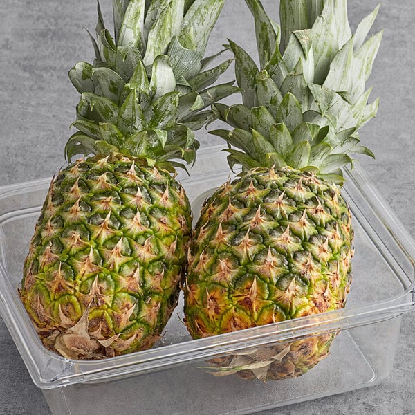 A plastic container with two Gold Pineapples.
