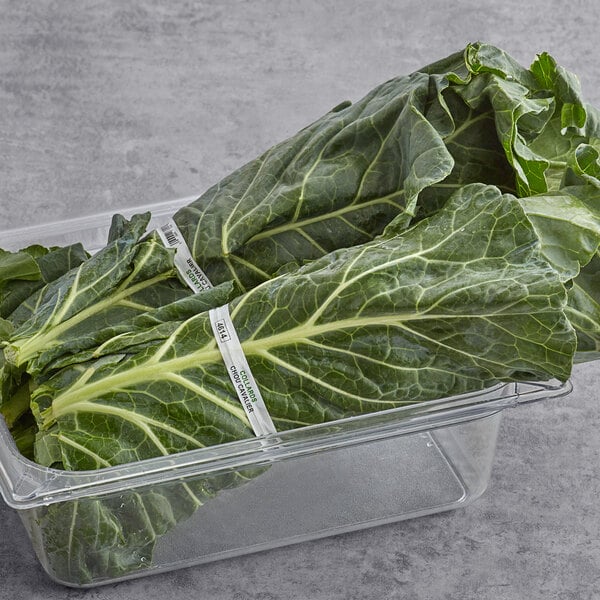 Alstede Fresh Collard Greens (Per Bunch)