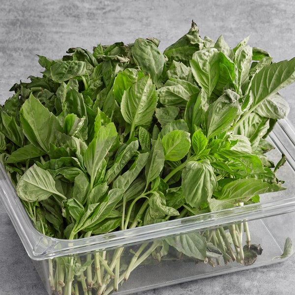 1 lb. Fresh Basil