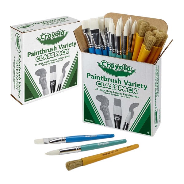 A box labeled 'Crayola Paintbrush Variety Classpack' containing an assortment of paintbrushes with different colored handles and brush shapes, along with three individual paintbrushes displayed in front.