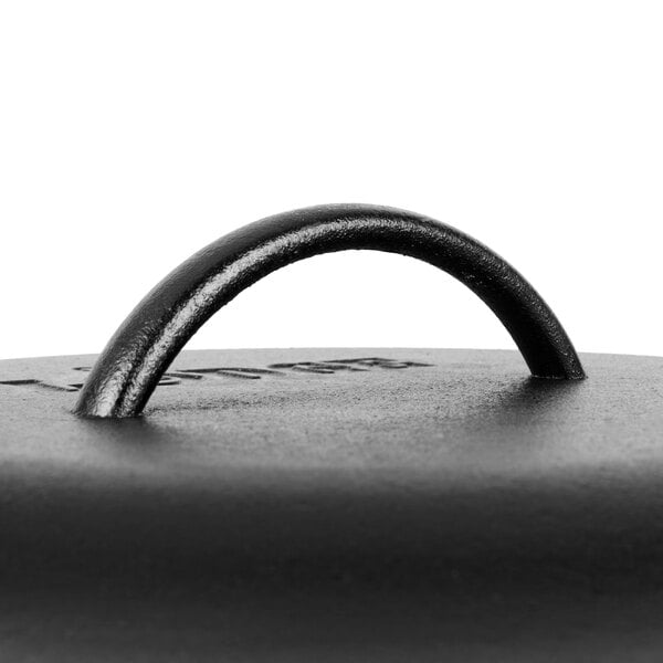 A Lodge pre-seasoned cast iron skillet with a black handle.