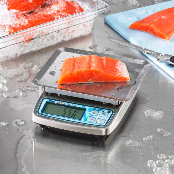 An Edlund BRAVO! portion scale with a piece of salmon on it.