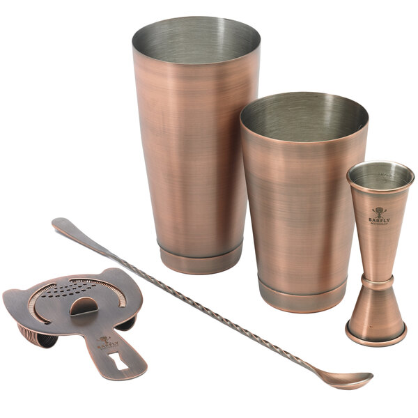 5pc Cocktail Shaker Set with Two Martini Glasses